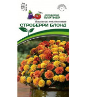 Бархатцы Строберри Блонд откл. 10шт/10