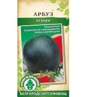 Арбуз Скорик  5шт