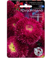 Агератум Снежный сугроб 0,08гр