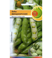 Бобы Белорусские белые 5шт