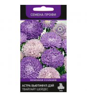Астра Бьютифул Дэй Твайлайт Шейдес 01,гр