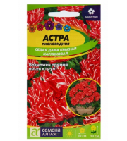 Астра Седая Дама красная 0,05 гр
