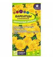 Бархатцы Лимонные Дольки махровые