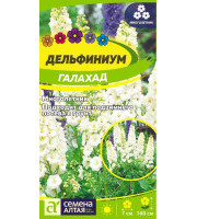 Дельфиниум Галахад 0,1гр Семена Алтая