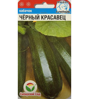 Кабачок цуккини Черный Красавец 5 шт Сибирский Сад