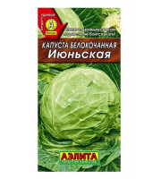 Капуста б/к Июньская  0,5гр