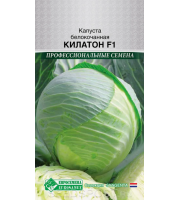 Капуста б/к Килатон F1 10шт Сибирский сад
