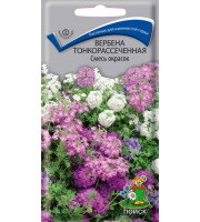 Вербена тонкорассеченная Смесь окрасок 0,02гр