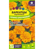 Бархатцы Примо Оранжевые карликовые 0,2гр