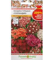 Гвоздика Шабо Бенинга садовая 0,1гр